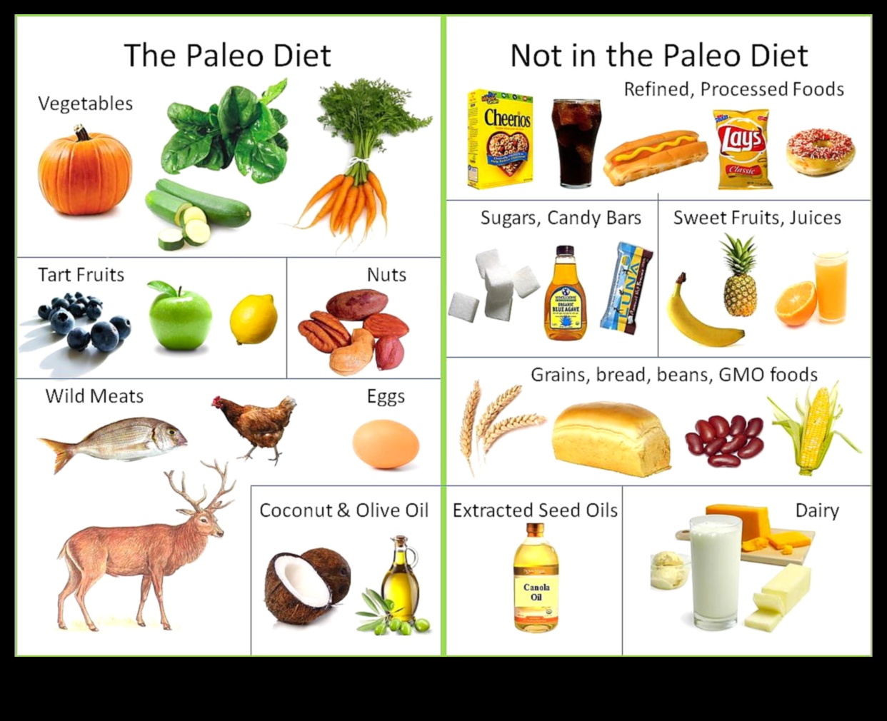 Primal Plateau: Paleo Tarzında Mutfak Deneyiminizi Geliştirin