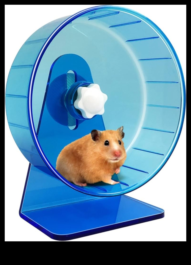 Hamster Tekerleği Güvenliği Devam Ediyor: Sessiz Bir Ortam İçin Sessiz Seçenekler